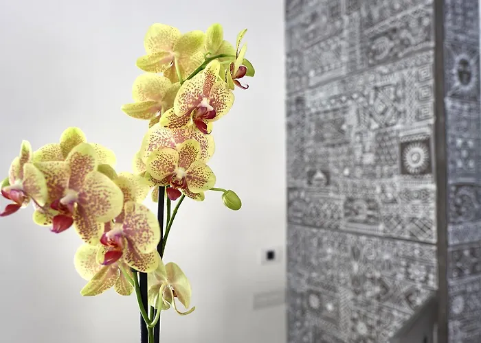 Hotel Sopra Le Mura 3*